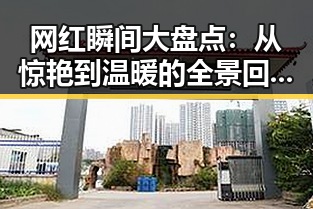 网红瞬间大盘点：从惊艳到温暖的全景回顾
