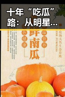 十年“吃瓜”路:从明星幼苗到蜕变的华丽转身