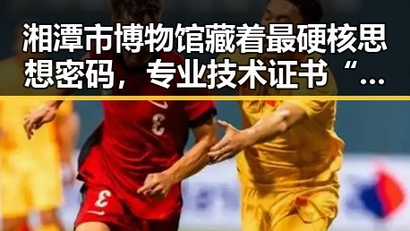 湘潭市博物馆藏着最硬核思想密码，专业技术证书“出借”背后隐藏的挂靠费陷阱引发警方关注