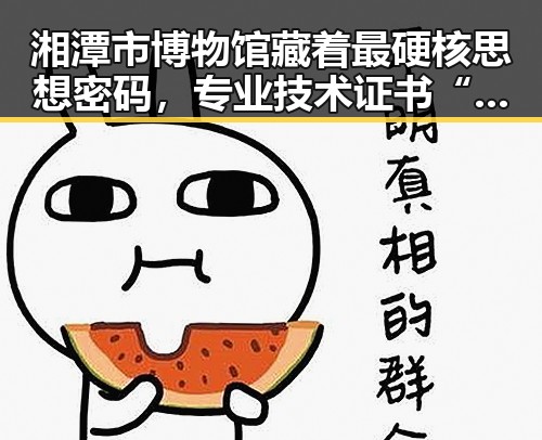 湘潭市博物馆藏着最硬核思想密码，专业技术证书“出借”背后隐藏的挂靠费陷阱引发警方关注