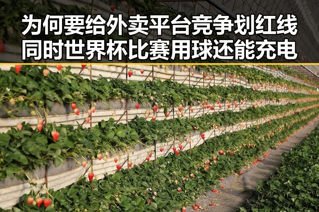 为何要给外卖平台竞争划红线同时世界杯比赛用球还能充电