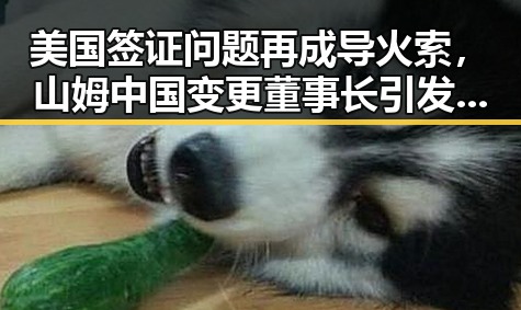 美国签证问题再成导火索，山姆中国变更董事长引发市场监管总局约谈