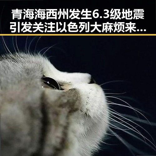 青海海西州发生6.3级地震引发关注以色列大麻烦来事件的反差应对